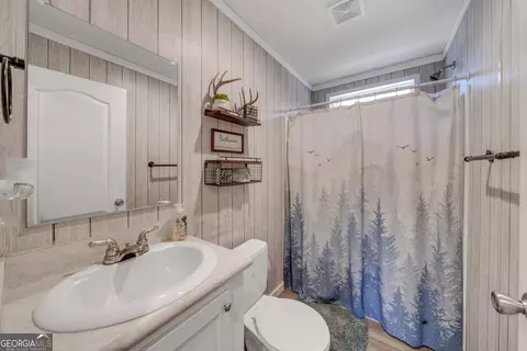 7856 R V Kitchens Rd, Mitchell, GA 30820 photo 26