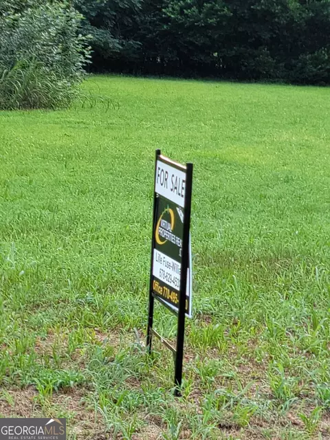 0 Southerfield Rd, Americus, GA 31709 photo 2