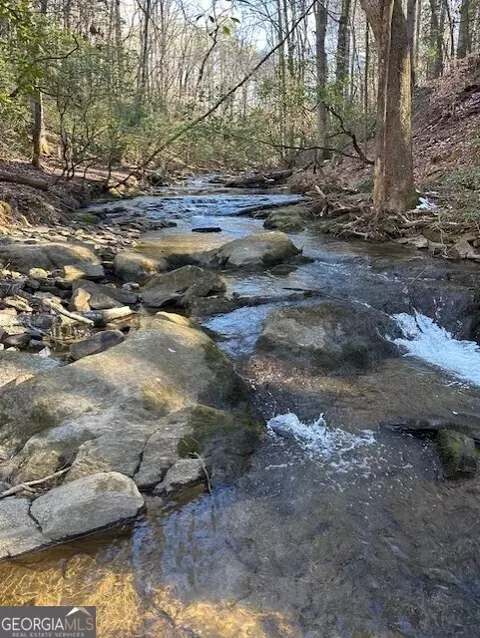 0 Clear Creek Preserve Way #4.55 ACRE, Ellijay, GA 30536