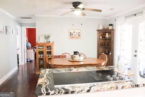 390 Garrison Rd, Carnesville, GA 30521 photo 17