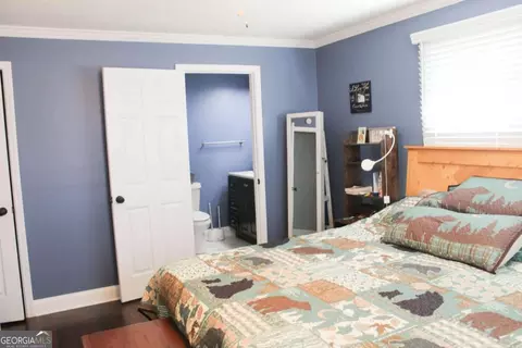 390 Garrison Rd, Carnesville, GA 30521 photo 31