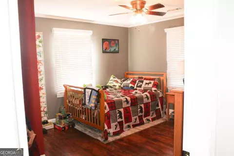 390 Garrison Rd, Carnesville, GA 30521 photo 36