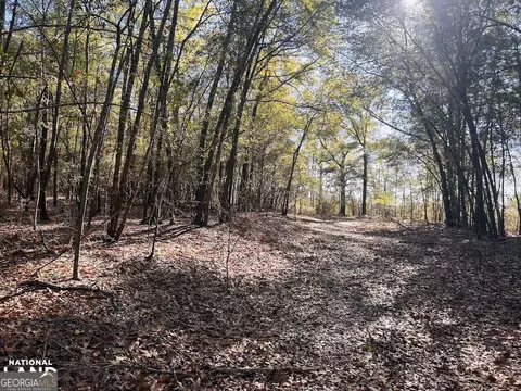 0 Harrison Mill Rd, Coleman, GA 39836