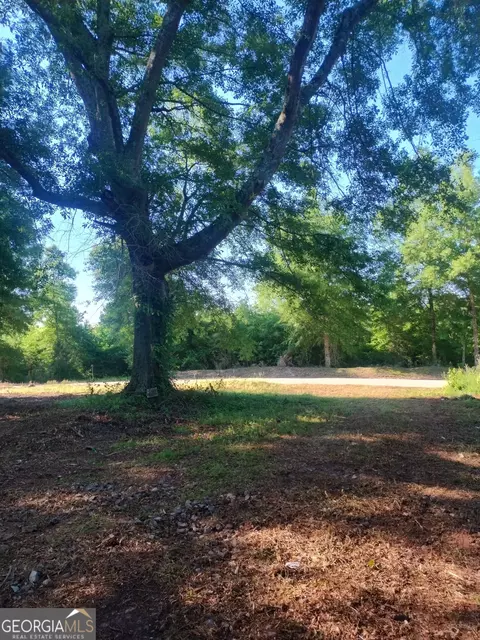 223 Shelnutt Rd, Franklin, GA 30217