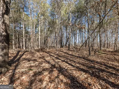355 Silver Shoals Rd E, Toccoa, GA 30577 photo 30