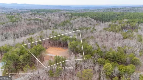 557 Long Branch Trl, Ranger, GA 30734