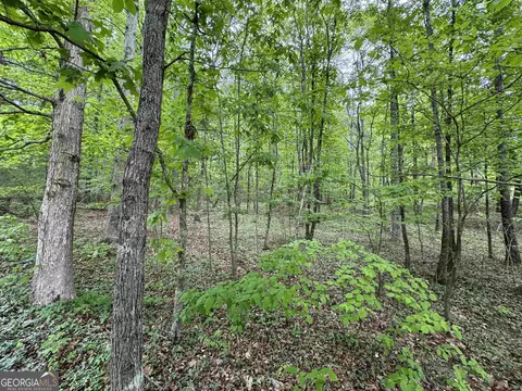 lot13 Teel Mountain Dr, Cleveland, GA 30528