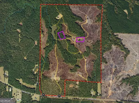 293 Ac Hopewell Rd, Forsyth, GA 31029