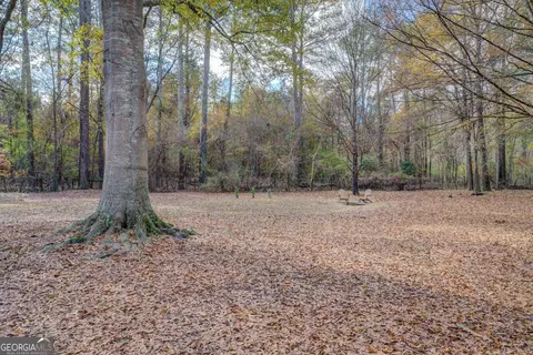 960 Todd Dr, Covington, GA 30014 photo 50