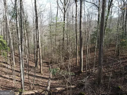 lot20 Settlers Cv, Blairsville, GA 30512