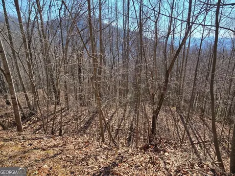 lot11 High Mdws #11, Hayesville, NC 28904