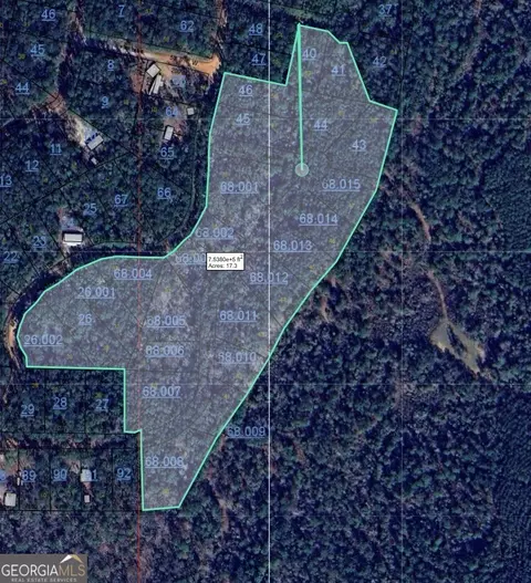17 Ac Chief Rd, Abbeville, AL 36310