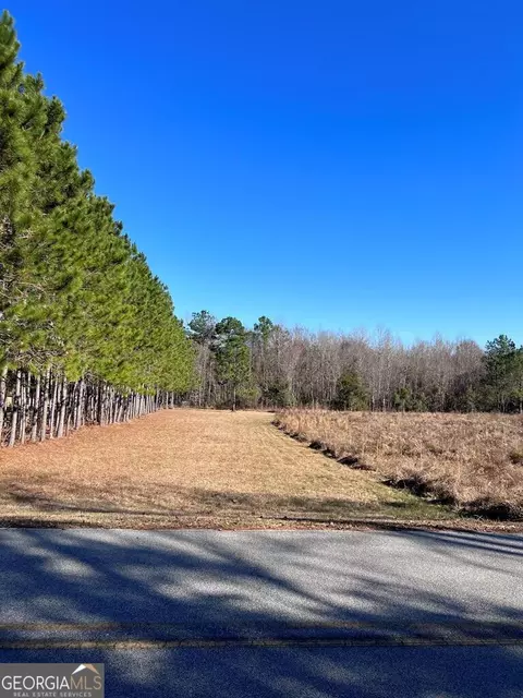 520 Limestone Lane Tract #1, Mount Vernon, GA 30445