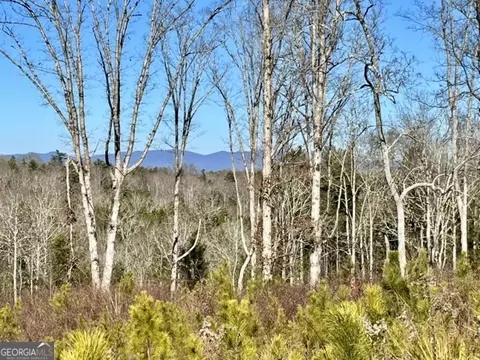 lot4 High River Rd, Ellijay, GA 30540