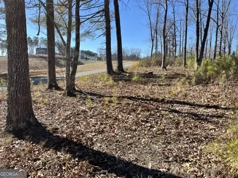 lot5 High River Rd, Ellijay, GA 30540