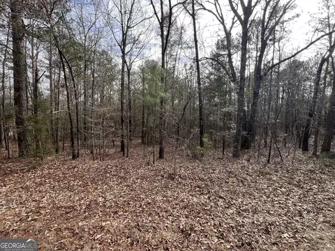 0 Floyd Rd, Pine Mountain, GA 31822