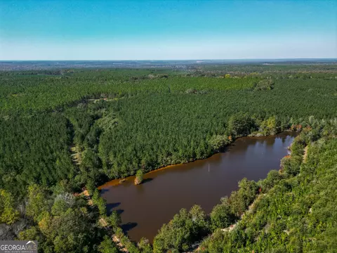 652 Acres Ga Hwy 45 S, Americus, GA 31719