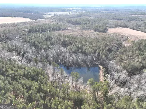 1671 County Line Rd E, Gibson, GA 30810