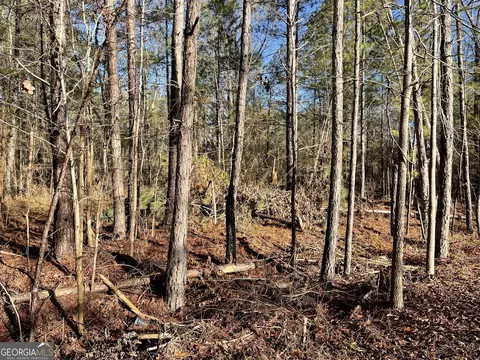 0 Tattnall Lake Dr - Parcel A, Dublin, GA 31021
