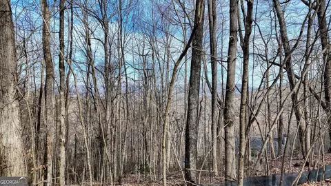5 Overlook At Yh, Young Harris, GA 30582