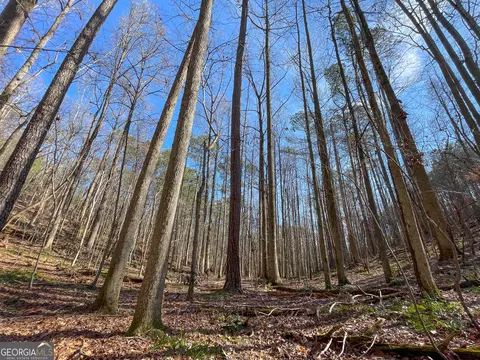 0 Ga Hwy 53 Firetower Rd, Fairmount, GA 30139 photo 21