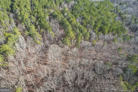 0 Ga Hwy 53 Firetower Rd, Fairmount, GA 30139 photo 10