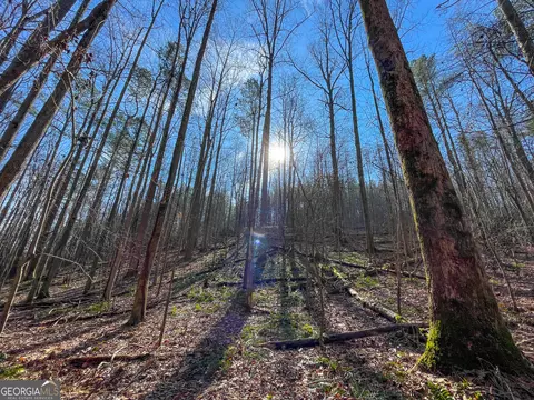 0 Ga Hwy 53 Firetower Rd, Fairmount, GA 30139 photo 19