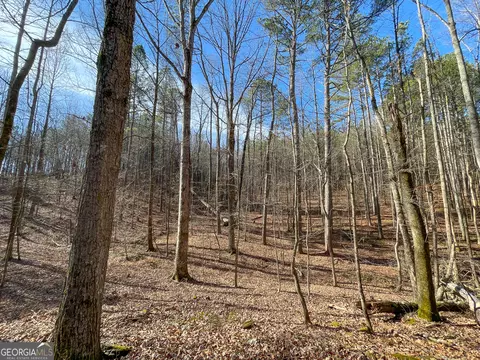 0 Ga Hwy 53 Firetower Rd, Fairmount, GA 30139 photo 8