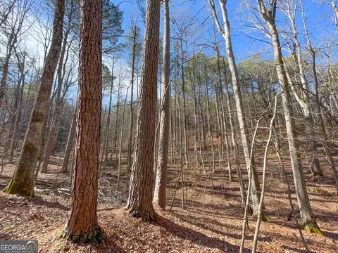 0 Ga Hwy 53 Firetower Rd, Fairmount, GA 30139 photo 26