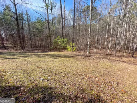 0 Ga Hwy 53 Firetower Rd, Fairmount, GA 30139 photo 13