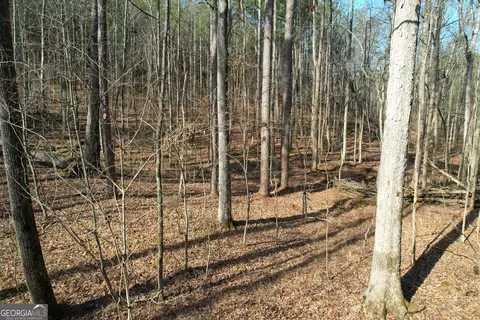 0 Ga Hwy 53 Firetower Rd, Fairmount, GA 30139 photo 18