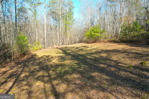 0 Ga Hwy 53 Firetower Rd, Fairmount, GA 30139 photo 9