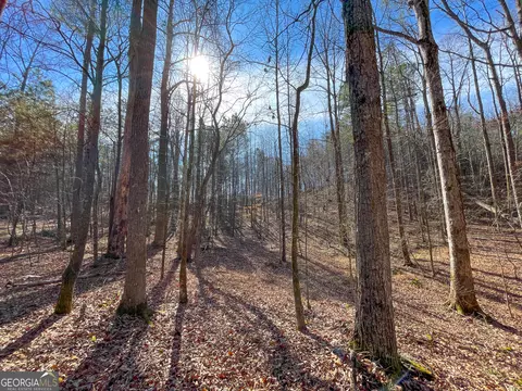 0 Ga Hwy 53 Firetower Rd, Fairmount, GA 30139 photo 3