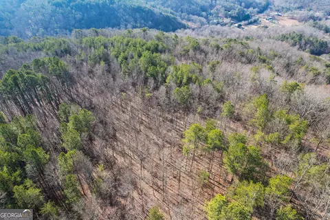 0 Ga Hwy 53 Firetower Rd, Fairmount, GA 30139 photo 20