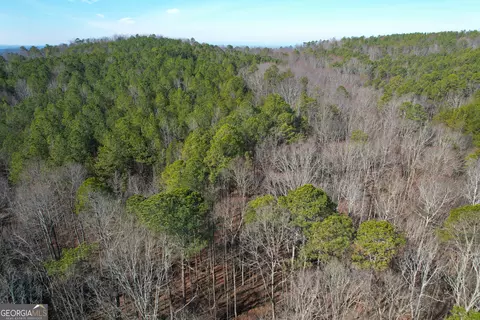 0 Ga Hwy 53 Firetower Rd, Fairmount, GA 30139 photo 5