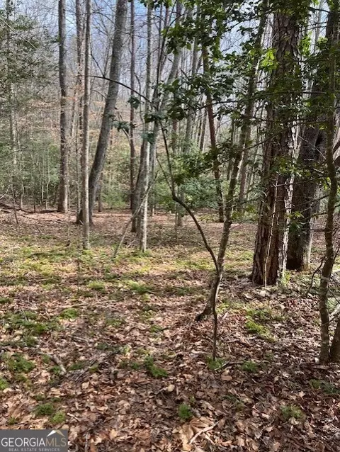 0 Pit Rd, Blairsville, GA 30512