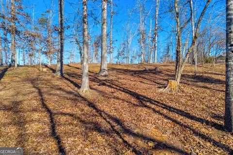 lot9 Jenkins Ferry Rd, Martin, GA 30557