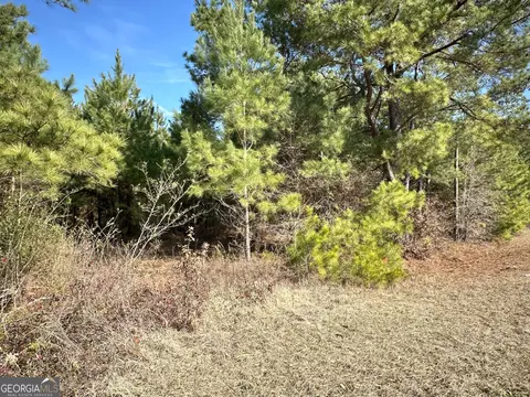 0 Mt Pleasant Church Rd, Pineview, GA 31071