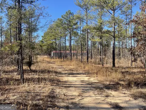 97 Paige Dr, Mauk, GA 31058