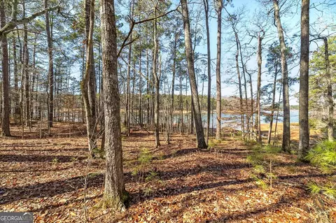View/Area - 469 Old Roanoke Rd, Lagrange, GA 30240 photo 6 of 9