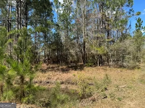 Tract 86 Bertran Trail, Waycross, GA 31503