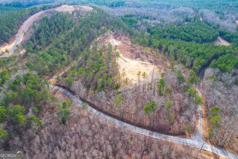 0 Josh Ward Rd, Lyerly, GA 30730 photo 16
