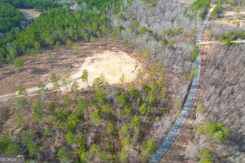 0 Josh Ward Rd, Lyerly, GA 30730 photo 3
