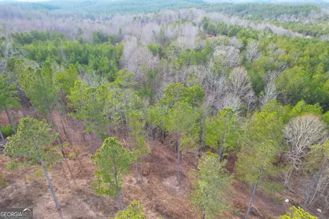 0 Josh Ward Rd, Lyerly, GA 30730 photo 13