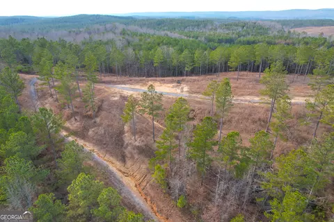 0 Josh Ward Rd, Lyerly, GA 30730 photo 8