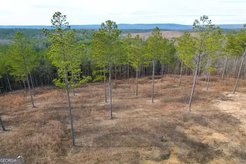 0 Josh Ward Rd, Lyerly, GA 30730 photo 11
