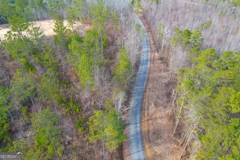 0 Josh Ward Rd, Lyerly, GA 30730 photo 9
