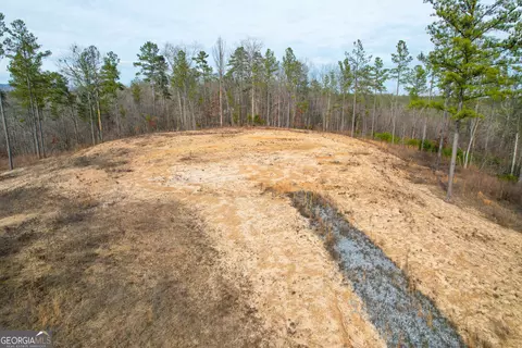 0 Josh Ward Rd, Lyerly, GA 30730 photo 10