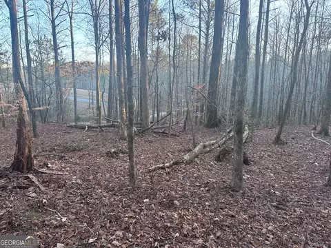 0 Red Branch Rd, Talking Rock, GA 30175