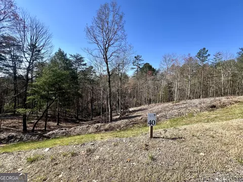 40 Ridgeline Ln, Mineral Bluff, GA 30559